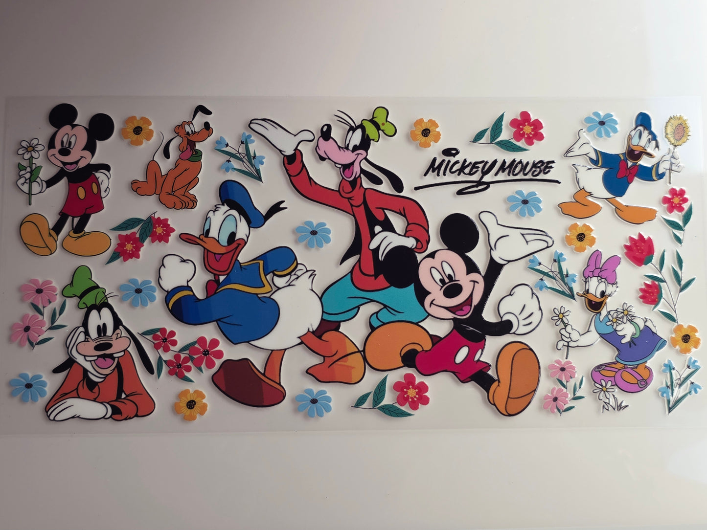 Mickey & Friends